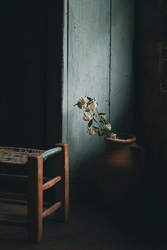 Opening Night – Light and Shadow Photography Exhibition