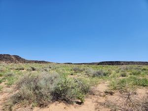 Guided hike of Piedras Marcadas Canyon