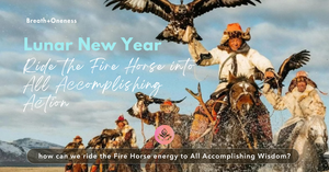 Lunar New Year 2026 Talk - All Accomplishing Action