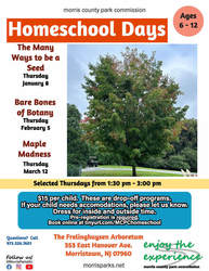 Homeschool Days: Bare Bones of Botany