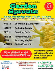 Garden Sprouts: Amazing Maples