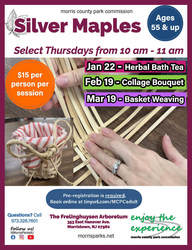 Silver Maples: Collage Bouquet