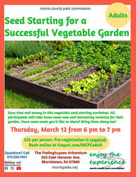 Seed Starting for a Successful Vegetable Garden