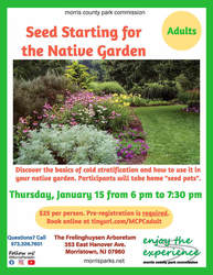 Seed Starting for Native Garden