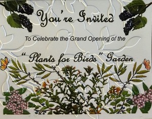 Punta Gorda Nature Park Free Class / Plants for Birds Garden Dedication