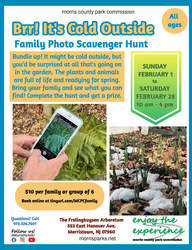 Family Photo Scavenger Hunt: Brr! It's Cold Outside