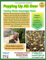 Family Photo Scavenger Hunt: Popping Up All Over