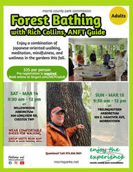Forest Bathing with Rich Collins, ANFT Guide
