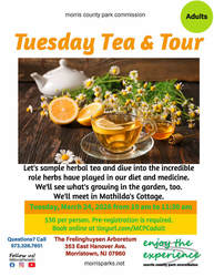 Tuesday Tea & Tour