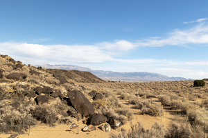 Guided Hike of Piedras Marcadas Canyon