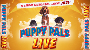 Puppy Pals LIVE
