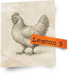 Captivating Cases in Rabbinic Responsa - Lesson 5