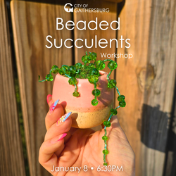 Beaded Succulents