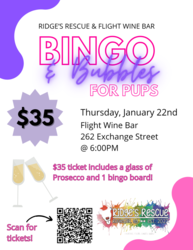 Bingo and Bubbles For Pups with Ridge’s Rescue