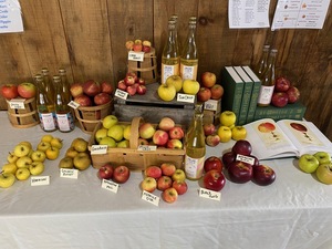 Apple Tasting Workshop