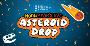 Noon Year's Eve: Asteroid Drop