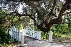 Cultivating Utopia: The Gardens of the Koreshan Unity