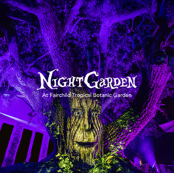 NIGHTGARDEN AT FAIRCHILD: ILLUMINATED NEW YEAR'S EVE SPECTACULAR