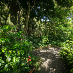 Prince Kūhiō Day