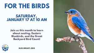 For The Birds: Getting To Know Your Backyard Birds (Registration Recommended)