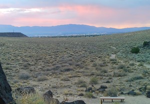 Guided Hike of Rinconada Canyon