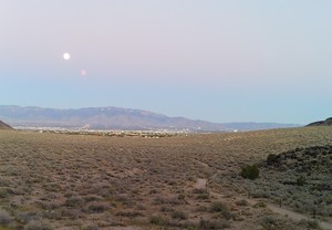 Guided Hike of Rinconada Canyon