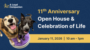11th Anniversary Open House & Celebration of Life
