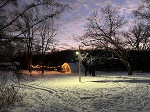 Trails Aglow: Music in the New Year