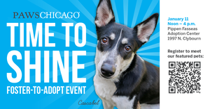 Time to Shine Foster-to-Adopt Event