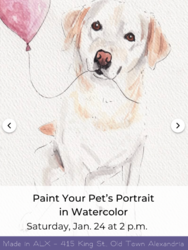 Watercolor Pet Portraits Workshop