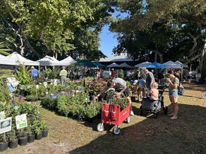 Spring Garden Festival