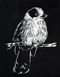 Scratchboard Workshop for Kids: Ages 7-13
