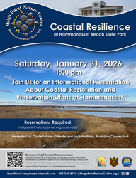 Coastal Resilience at Hammonasset Beach State Park