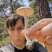 Mycology 101: An Introduction to Fungi (Hybrid)