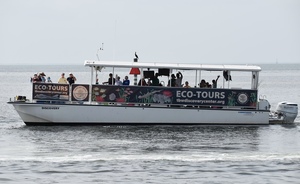 Art and Nature Sunset Tour