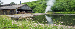 Spring Antique Show and Sawmill Run
