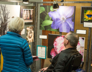 Arboretum Art Fair