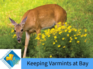 Keeping Varmints at Bay