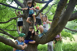 Tom Denney Summer Nature Camp in Bolton Registration Open! All Are Welcome!