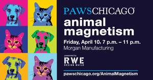 PAWS Chicago Animal Magnetism