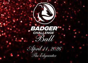 Badger Challenge Ball
