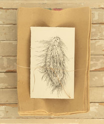 Artist talk and opening reception for "Kendra Frorup: Healing Properties"