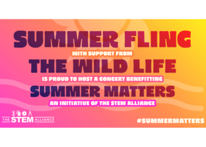 Summer Fling for Summer Matters