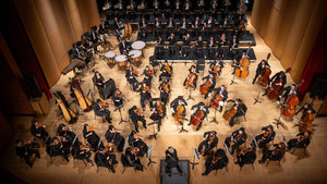 Philharmonia No. 3
