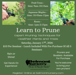 Learn to Prune Seminar