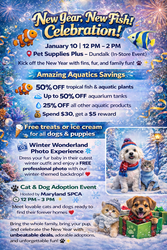 🎆🐠 New Year, New Fish Celebration! 🐠