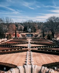 Winter Stillness Walk