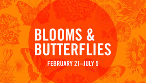 Blooms & Butterflies