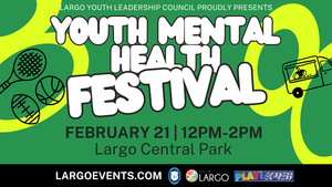 Youth Mental Health Festival