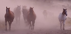 Adobe Art Gallery Exhibition "Off to a Good Start!"  Thu, Fri, Sat Jan 15-31 11 am to 3 pm